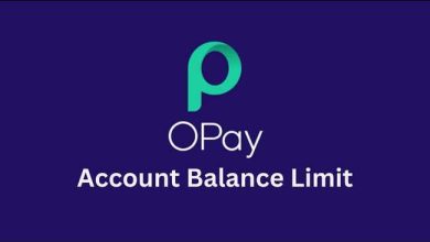 How Much Can Opay Account Hold Without Bvn? 2023 Best Info