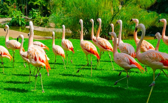 Top 10 Best Places to Visit in March in the USA