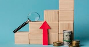 Top 10 Small Business Ideas With Low Investment